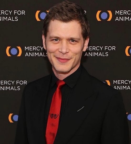 Joseph Morgan Height, Weight, Age, Spouse, Family, Facts, Biography