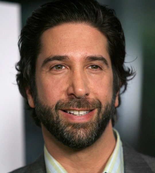 David Schwimmer Age, Net Worth, Wife, Family, Height and Biography ...