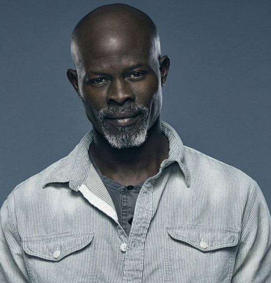 djimon hounsou