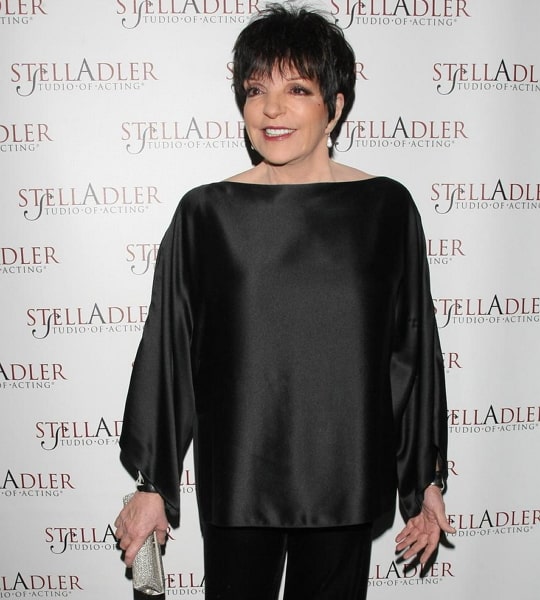 liza minnelli