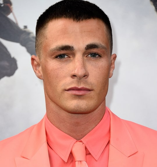 colton haynes