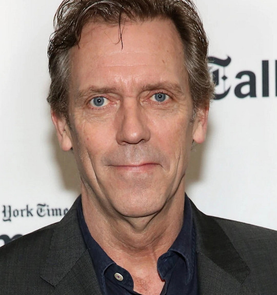 hugh laurie