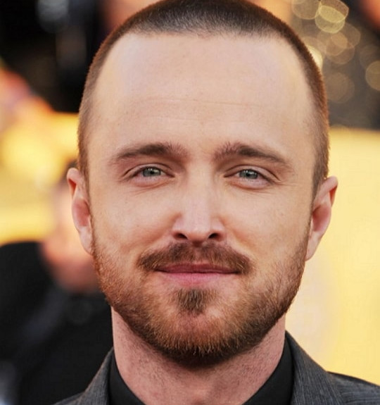 aaron paul