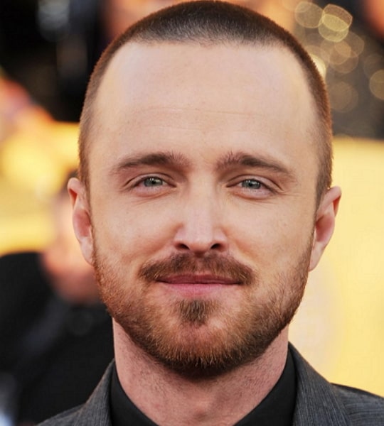 aaron paul